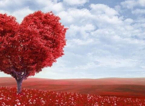 一封写给汉钢的情书