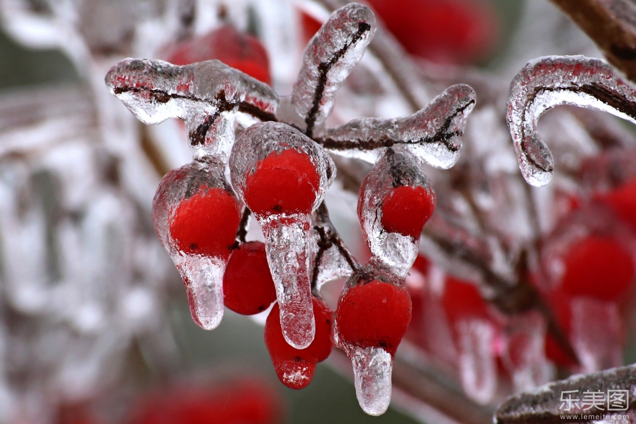 冬至阳生春又来