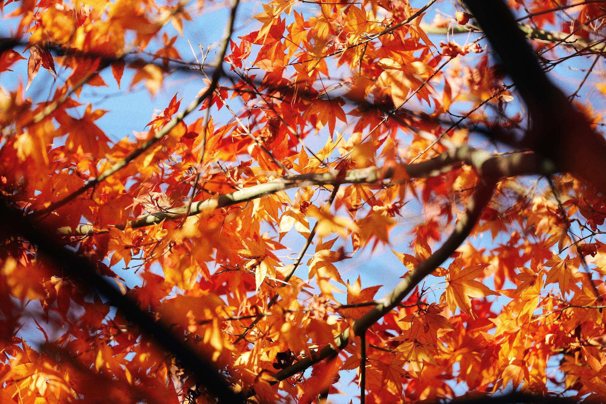 严冬最暖是人情