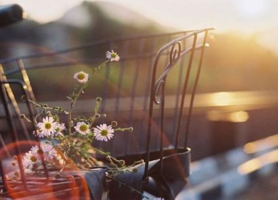 念念不忘的旧时光