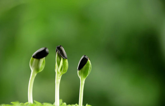 2020—奠.惦 2020—奠.惦