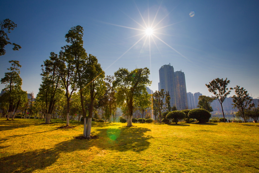 冬日暖阳 冬日暖阳