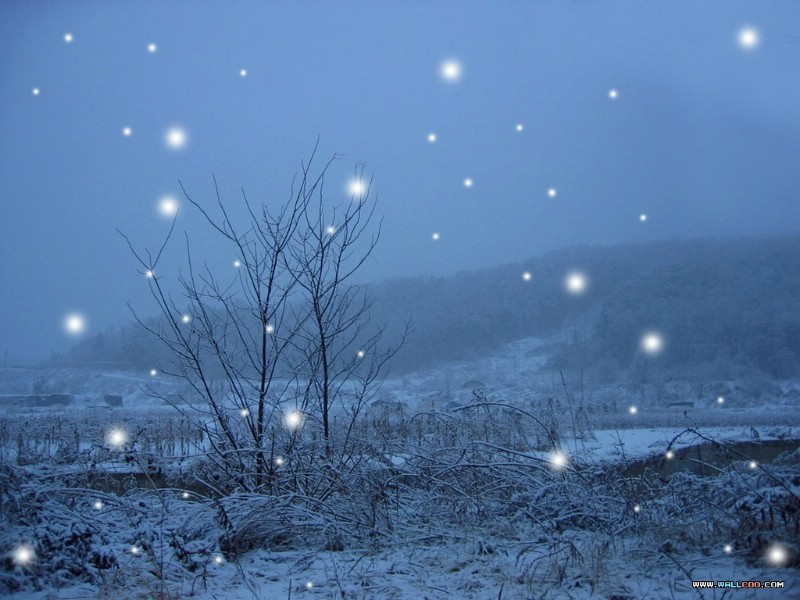 冬天来了，春天还会远吗