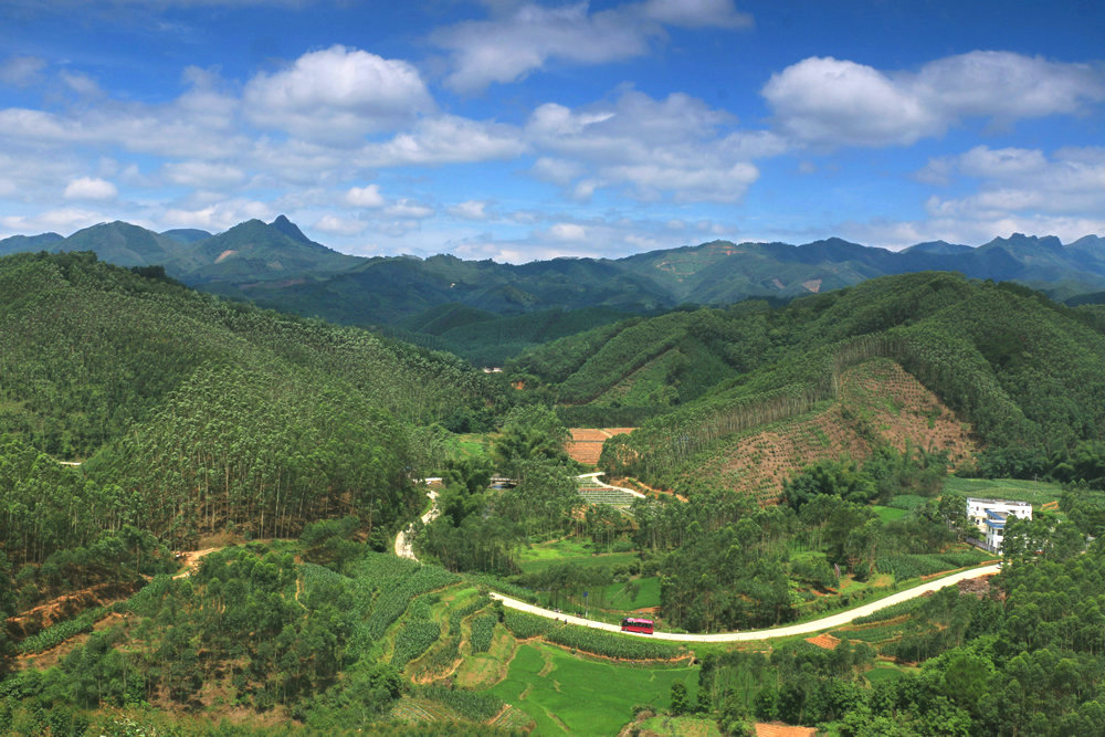 那路  那车  那些年