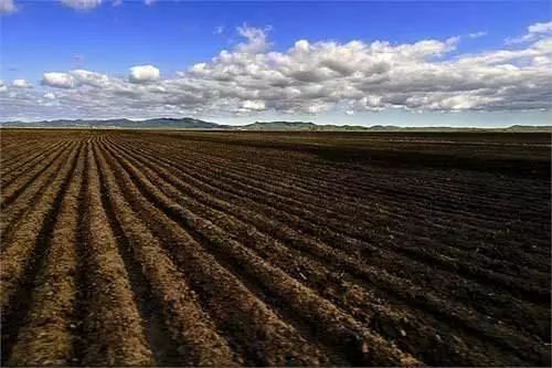 黑土地中的守望 黑土地中的守望