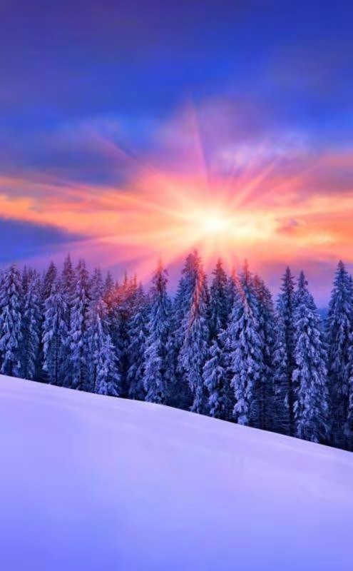 每一个春天都会赴约而来