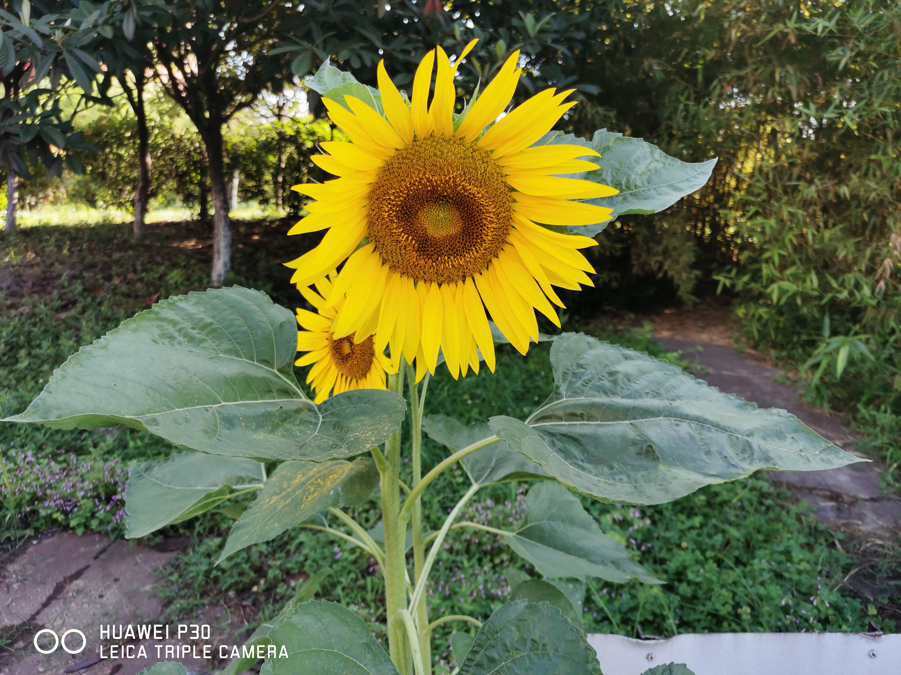 写给中年的自己 写给中年的自己
