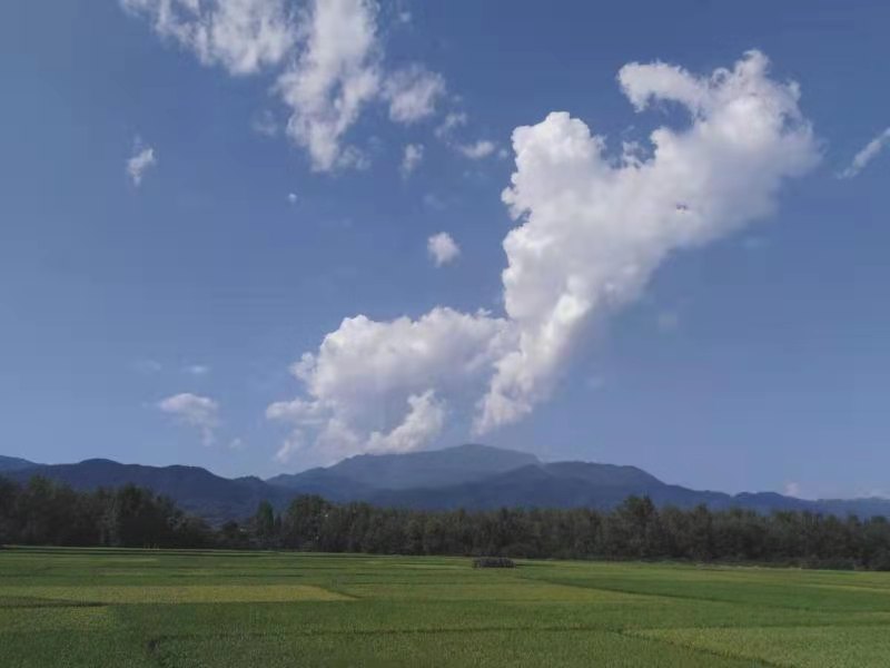 请别把阳光挡在外面 请别把阳光挡在外面