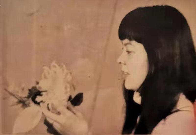 母亲的爱 母亲的爱