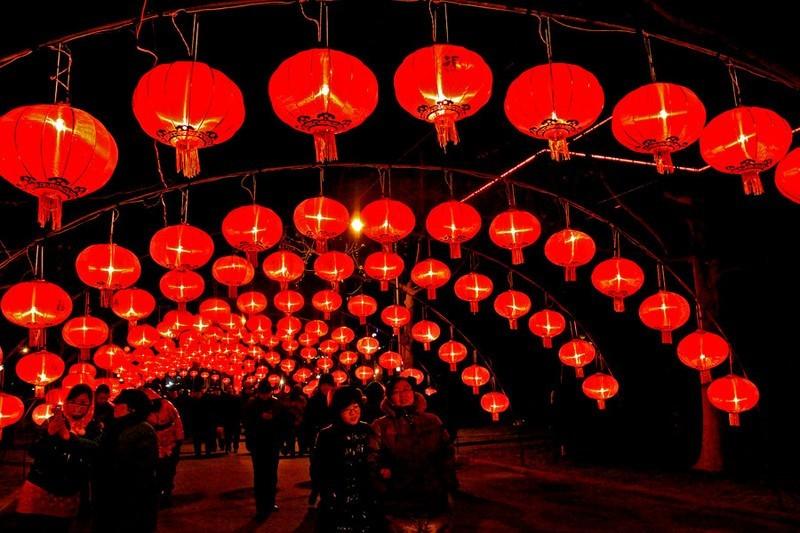 十五的灯笼 十五的灯笼