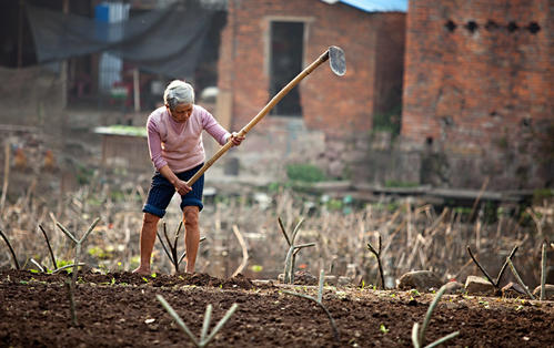 设下既定目标,“春耕”——与莘莘学子、一线工作者共勉 设下既定目标,“春耕”——与莘莘学子、一线工作者共勉