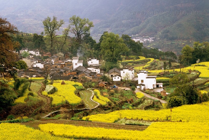 乡土记忆 乡土记忆