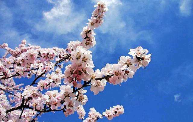 你好,春天! 你好,春天!