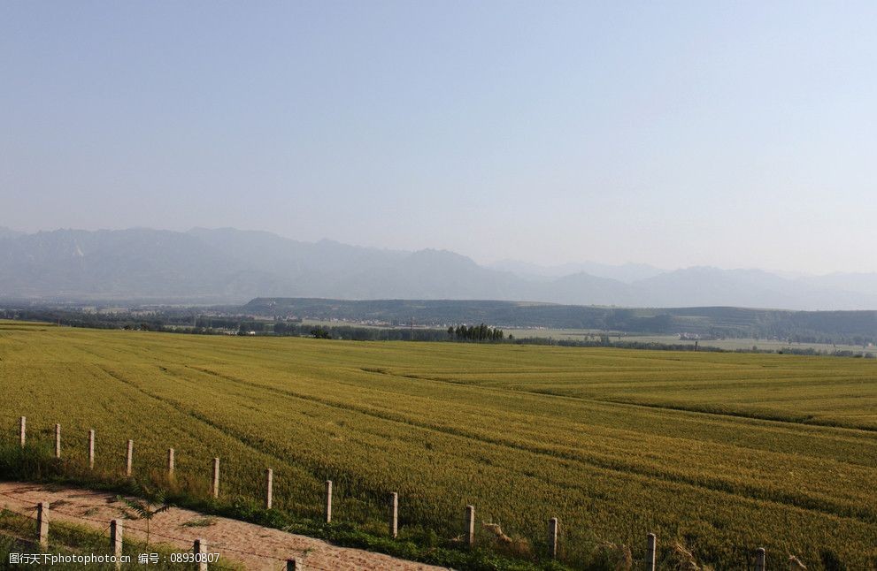 【钢城文苑】童年的端午