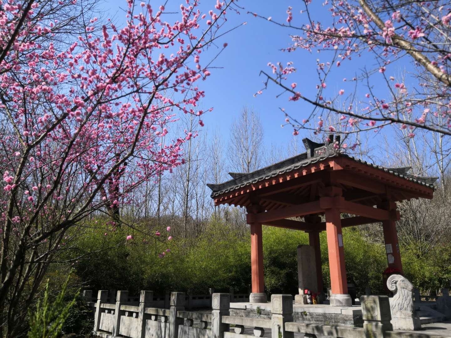 【钢城文苑】大美勉县 【钢城文苑】大美勉县