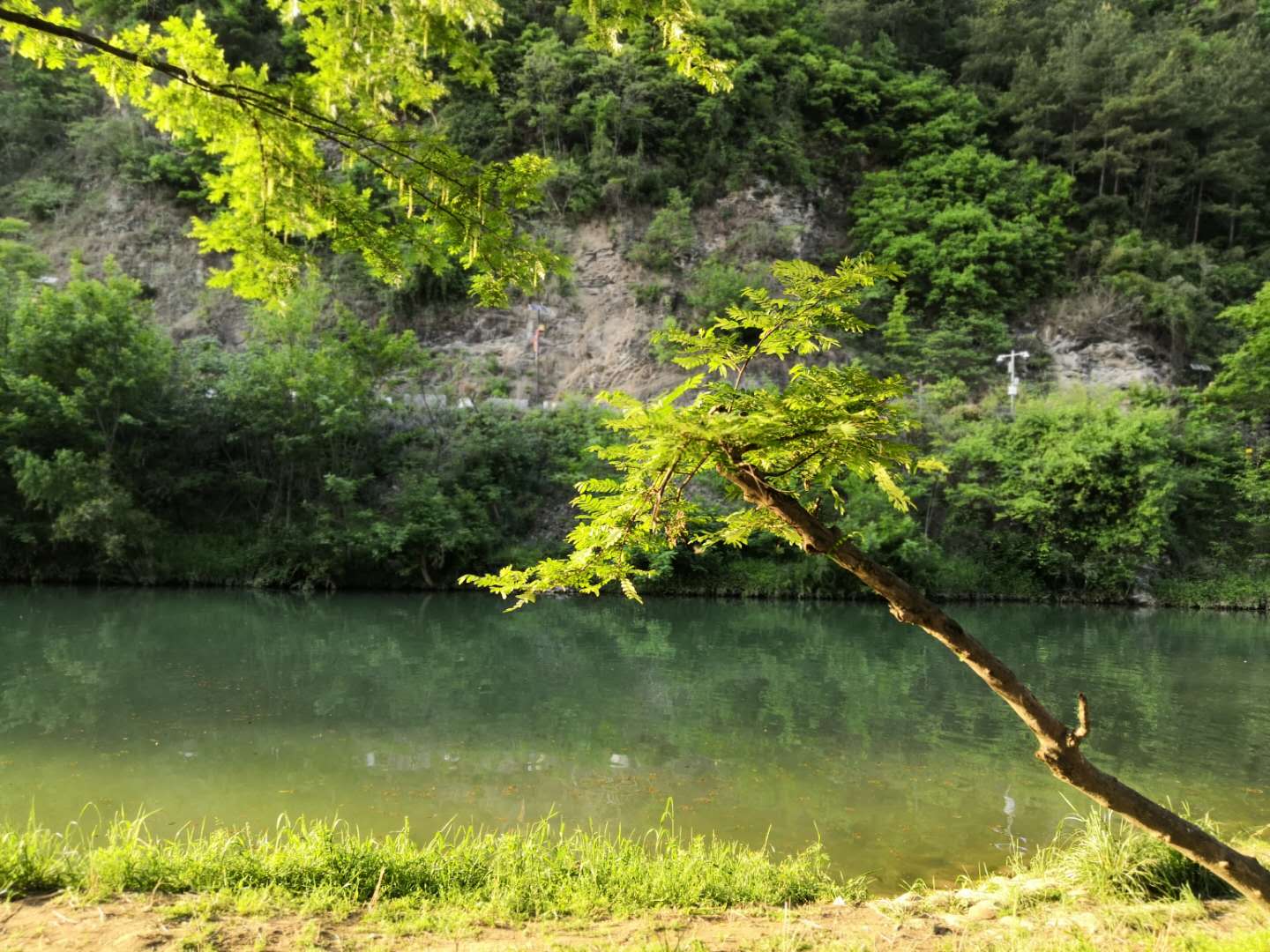 【钢城文苑】大美勉县 【钢城文苑】大美勉县