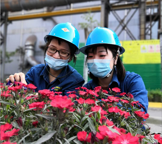 【钢城文苑】大美勉县 【钢城文苑】大美勉县