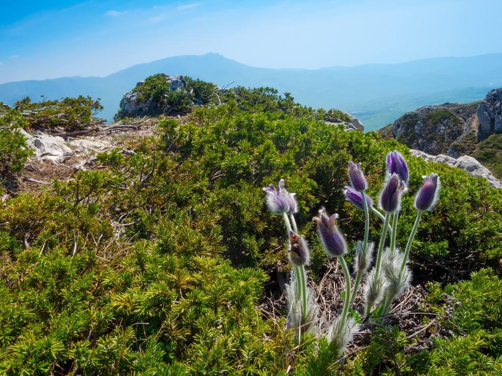 感恩--生命之重 感恩--生命之重