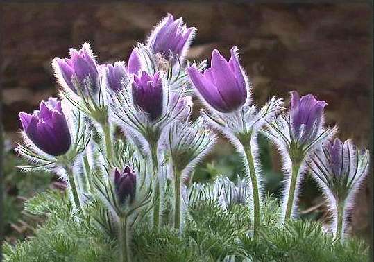 感恩--生命之重 感恩--生命之重