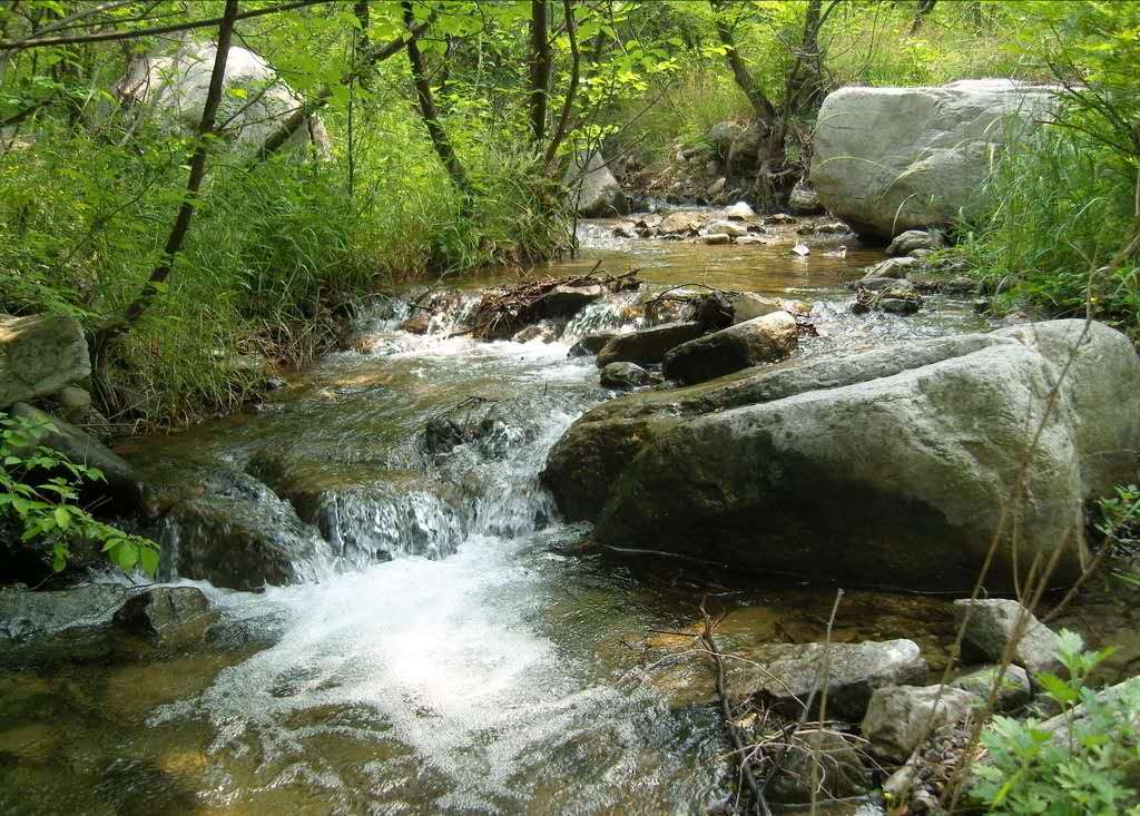 【钢城文苑】故乡的小河 【钢城文苑】故乡的小河