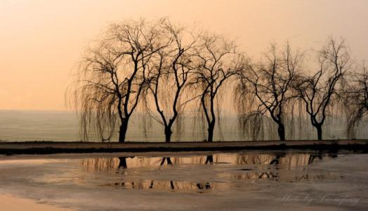 【钢城文苑】往事只能回味