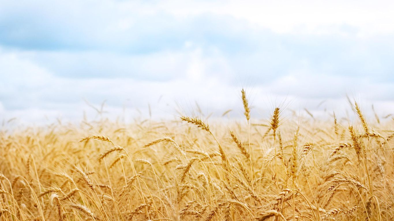 【钢城文苑】夏日印象