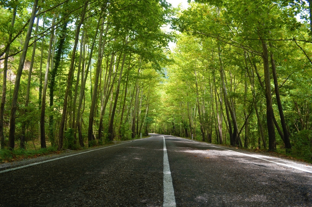 【钢城文苑】老家门前那条路