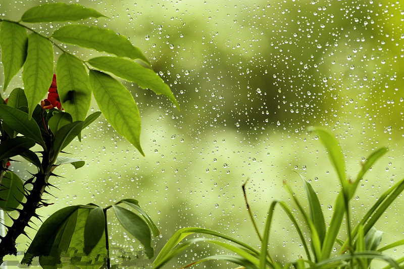 【钢城文苑】听雨