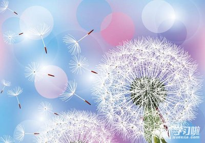 【钢城文苑】路